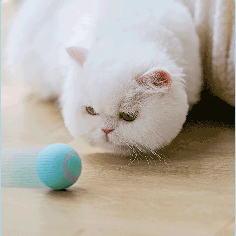 Bolinha interativa para Gatos e Cães